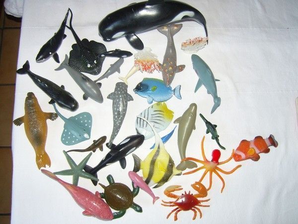 Les animaux de la mer